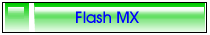 Flash MX